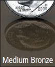 Polished Medium Bronze anodized aluminum color swatch