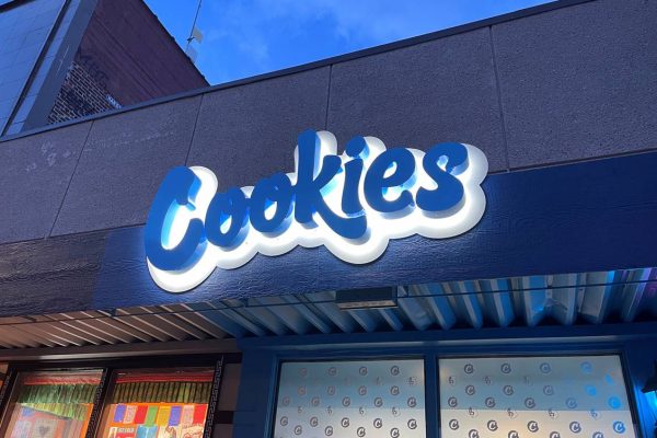 fabricated channel letter sign with LED