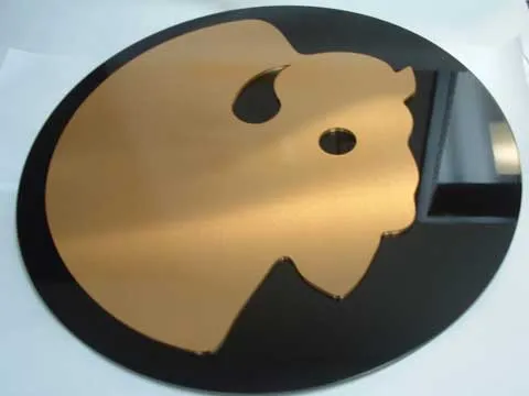 Solid bronze buffalo head logo for PBS